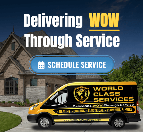 world class services van